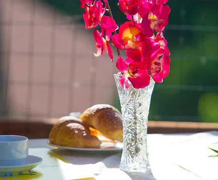 Bed & Breakfast Gli Dei Gemelli Agerola