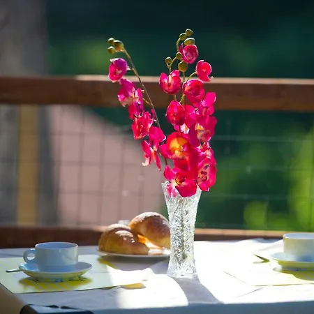 Bed & Breakfast Gli Dei Gemelli